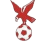 https://img.yangshengjidian.com/img/football/team/4802d26df935b78bb2fcdbbff36e8864.png