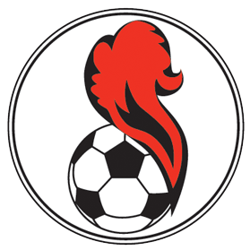 https://img.yangshengjidian.com/img/football/team/5541e5015258ae82b121480f4164267d.png