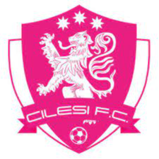 https://img.yangshengjidian.com/img/football/team/7aa0eae9d284e6aab302a00cb5107481.png