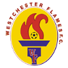 https://img.yangshengjidian.com/img/football/team/c8b20891ce8a5178ca48855710685f99.png